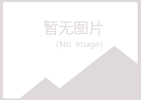 龙山区斑驳水泥有限公司